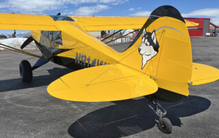 Husky Aircraft A-1C-180 for Sale